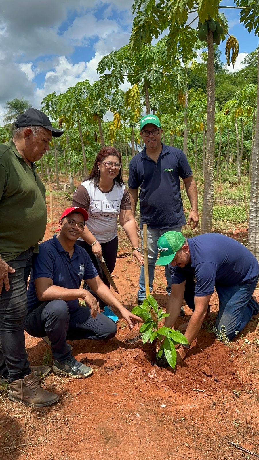 FEDAF-MT leva conhecimento ao campo e fortalece produção de cacau no assentamento Gleba Resistência