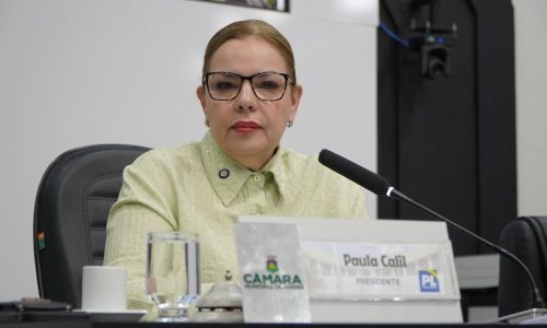Paula Calil articula reunião com o prefeito para discutir adicional de insalubridade dos servidores da Saúde