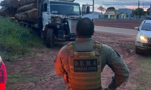Caminhão com 10 toras gigantes de madeira ilegal é apreendido após fuga de suspeitos em MT