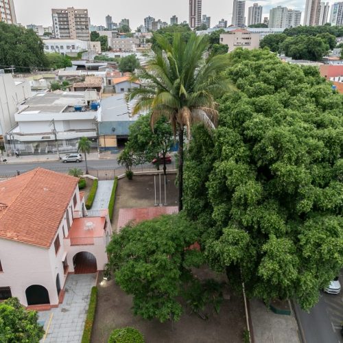 Poda emergencial interdita trecho da Rua Cândido Mariano nesta quinta-feira em Cuiabá
