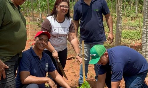 FEDAF-MT leva conhecimento ao campo e fortalece produção de cacau no assentamento Gleba Resistência