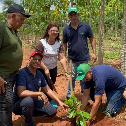 FEDAF-MT leva conhecimento ao campo e fortalece produção de cacau no assentamento Gleba Resistência
