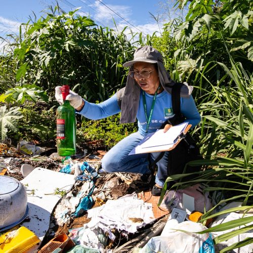 Chuvas continuam e mantém alerta contra a dengue; veja os cuidados