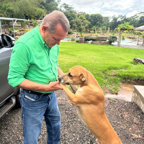 Projeto de Wellington Fagundes ganha força diante do aumento de casos de maus-tratos a animais no país