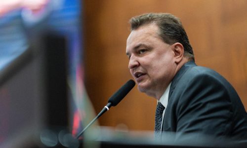 Janaina nega interesse em ser vice de Pivetta, afirma Max Russi