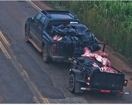 Operação Guerra da Carne identifica 11 suspeitos por saque de carga após tombamento na MT-235
