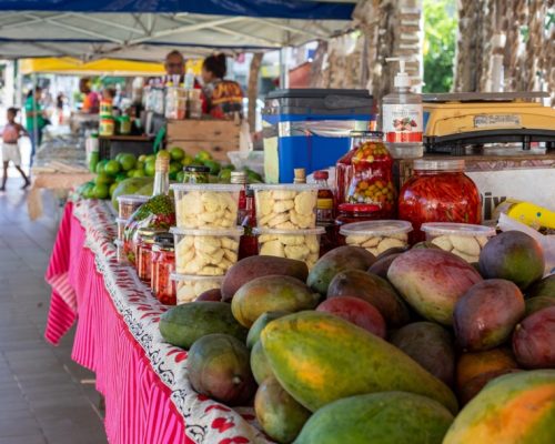8ª Feira da Agricultura Familiar Produtiva e Solidária movimenta a Praça Alencastro nesta terça