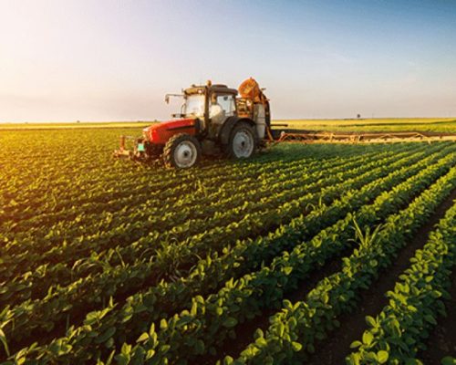 agro mato grosso
