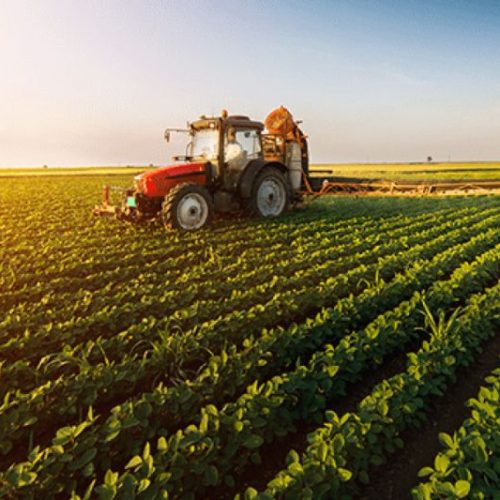 agro mato grosso