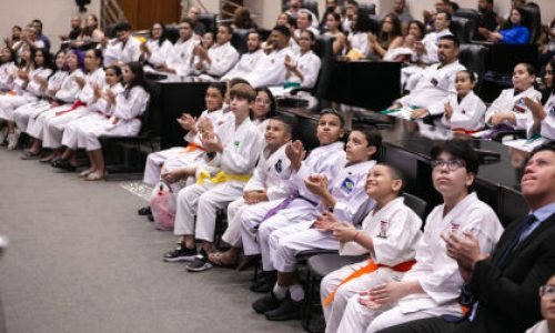 ALMT celebra força do Karatê-Dô Tradicional e homenageia 68 nomes em sessão especial