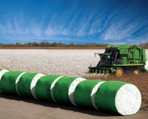 Queda no preço do algodão contrasta com expansão da área plantada no Brasil