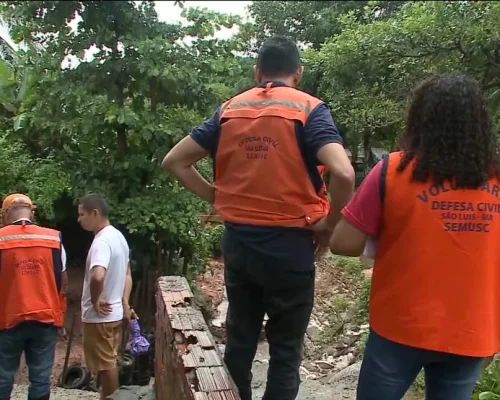 Período chuvoso eleva risco de queda de árvores e Defesa Civil orienta população em Mato Grosso