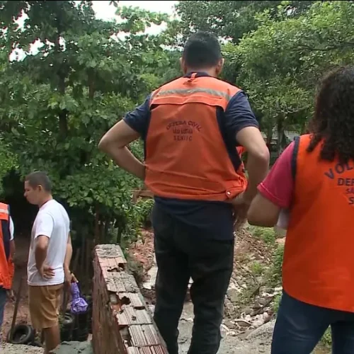 Período chuvoso eleva risco de queda de árvores e Defesa Civil orienta população em Mato Grosso