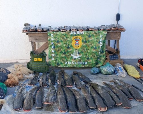 Sema e Dema apreendem 235 quilos de pescado em Barão de Melgaço após denúncia