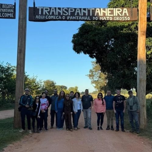 Pantanal encanta operadores norte-americanos e se consolida como novo safári das Américas