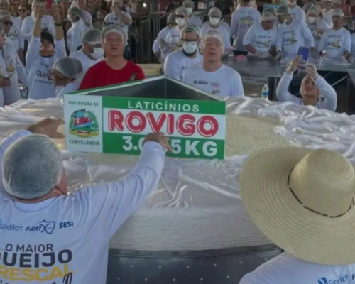 Maior queijo do Brasil é produzido em Curvelândia (MT) e atrai 25 mil pessoas