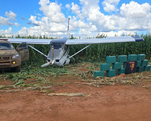 Mato Grosso é segundo estado do país que mais apreendeu cocaína em 2024, aponta Mapa da Segurança Pública