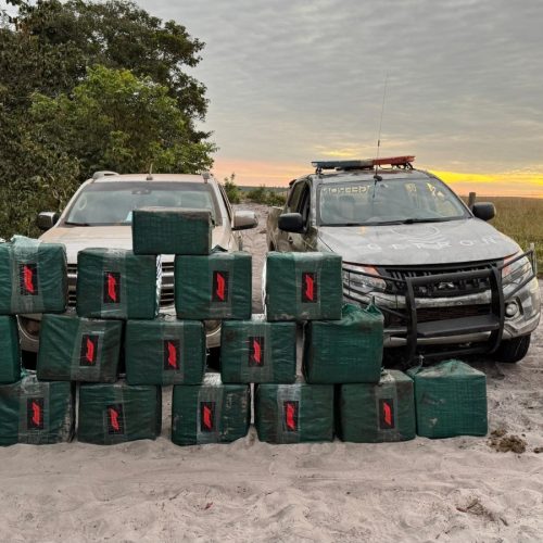 Gefron aprende 1,4 tonelada de droga e gera prejuízo de R$ 30 milhões às facções criminosas em uma semana