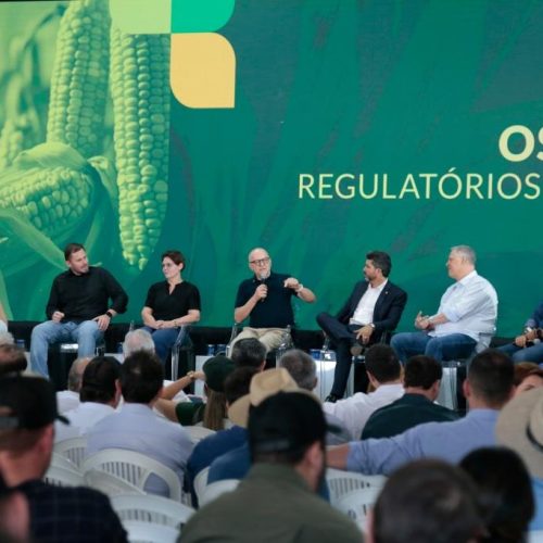 Mato Grosso dá início à colheita da segunda safra nacional de milho