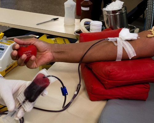 Mato Grosso tem 70.271 cadastrados para doar medula óssea; veja como se inscrever