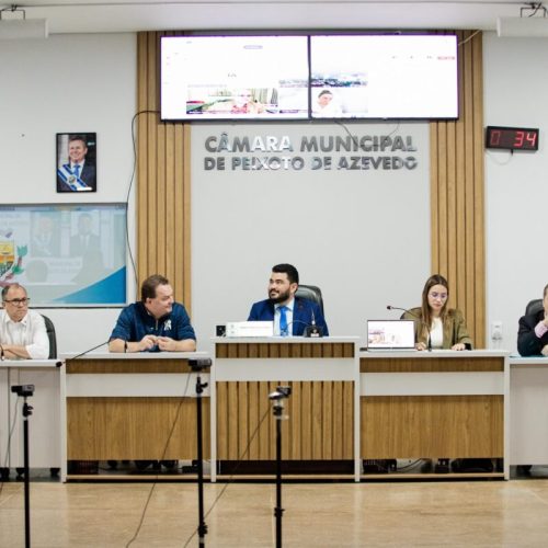 “A mineração tem tudo para ser o novo agronegócio de Mato Grosso”, afirma Max Russi em audiência pública em Peixoto de Azevedo