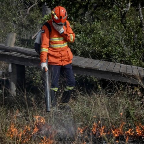 Corpo de Bombeiros extingue incêndio em agência de transportes em Cuiabá