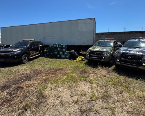 Gefron apreende mais de 1 tonelada de entorpecentes com auxílio de cães e causa prejuízo de R$ 23,5 milhões as facções