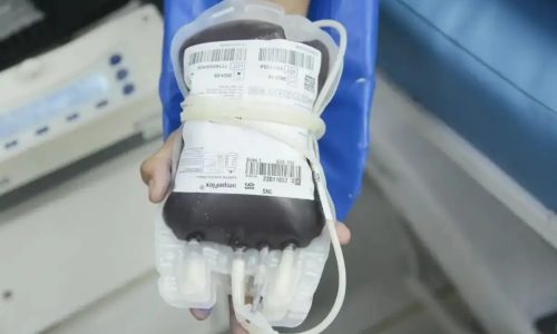 STF consolida direito de recusar transfusão de sangue por motivos religiosos