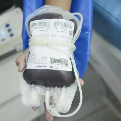 STF consolida direito de recusar transfusão de sangue por motivos religiosos