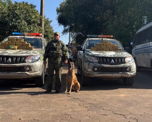 Gefron intercepta ônibus de pacientes com 50 kg de cocaína em Várzea Grande