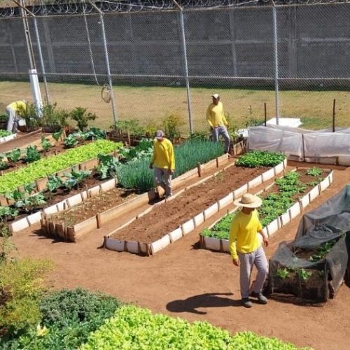 Oficinas em unidades prisionais ofertam trabalho e oportunidades de qualificação a reeducandos em MT