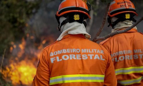 Corpo de Bombeiros extingue dois incêndios florestais e combate 24 neste domingo (24)