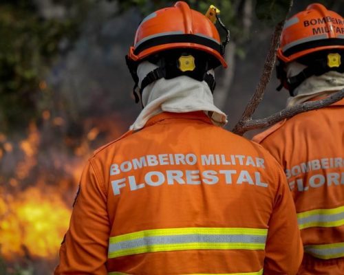 Corpo de Bombeiros extingue dois incêndios florestais e combate 24 neste domingo (24)