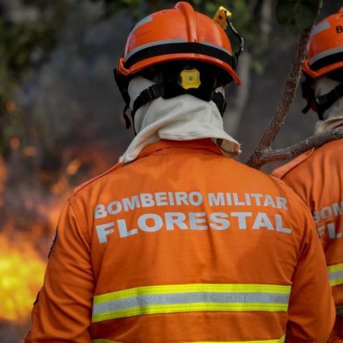 Corpo de Bombeiros extingue dois incêndios florestais e combate 24 neste domingo (24)
