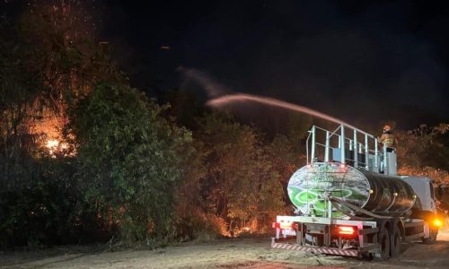 Bombeiros extinguem incêndio e impedem que chamas destruam Parque Florestal