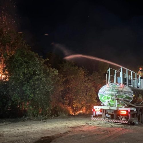 Bombeiros extinguem incêndio e impedem que chamas destruam Parque Florestal
