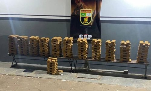 Polícia Militar prende mulher e apreende 353 tabletes de maconha em Várzea Grande