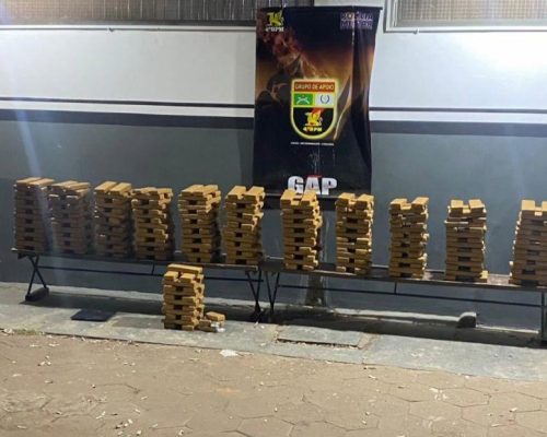 Polícia Militar prende mulher e apreende 353 tabletes de maconha em Várzea Grande