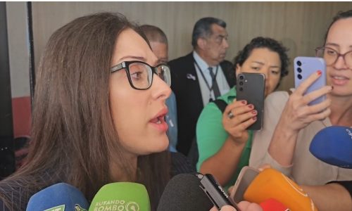 Janaina Riva diz que MDB focará em candidatura própria ao Senado em 2026