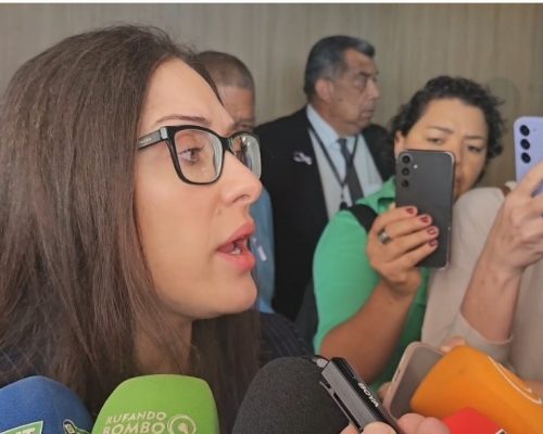 Janaina Riva diz que MDB focará em candidatura própria ao Senado em 2026