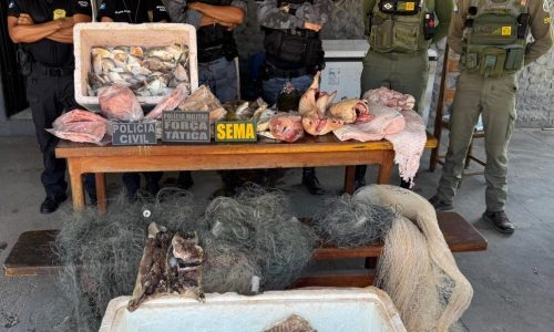 Polícias Civil e Militar prendem empresário e apreendem 77 kg de pescado ilegal