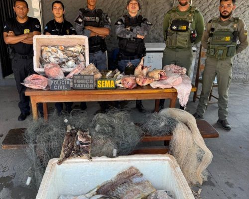 Polícias Civil e Militar prendem empresário e apreendem 77 kg de pescado ilegal