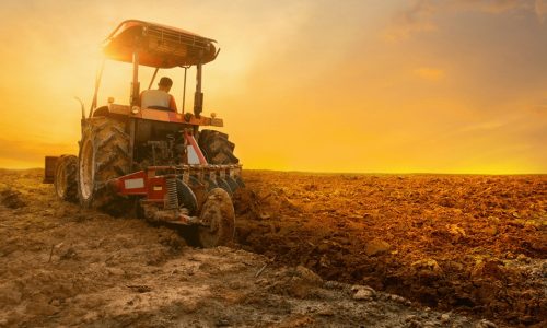 Governo libera R$ 12 bi para renegociar dívidas rurais em todo o país