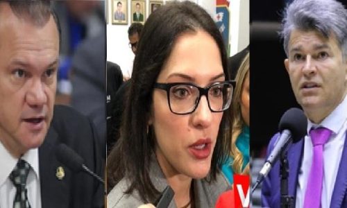 O PL-MT no fio da navalha: entre vulnerabilidade e protagonismo