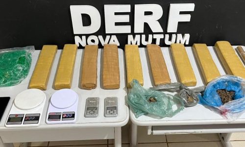 Polícia Civil apreende 9 tabletes de maconha que seriam distribuídos em pontos de Nova Mutum