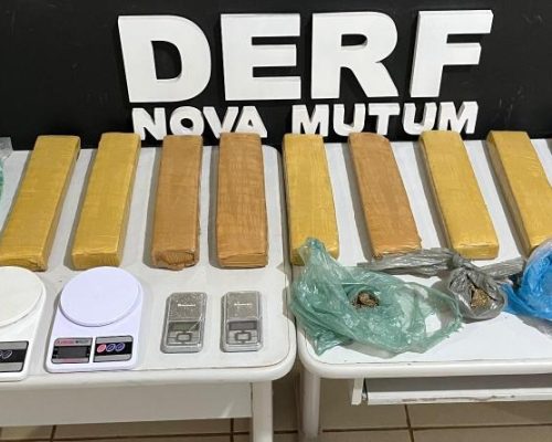 Polícia Civil apreende 9 tabletes de maconha que seriam distribuídos em pontos de Nova Mutum