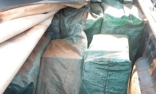 Polícia Militar e Gefron apreendem 247 tabletes de cocaína avaliados em mais de R$ 7 milhões