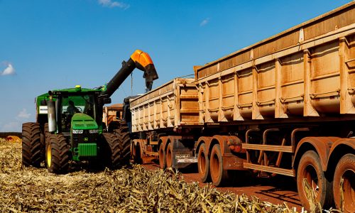 Mato Grosso finaliza colheita da 2ª safra de milho com recorde de produção