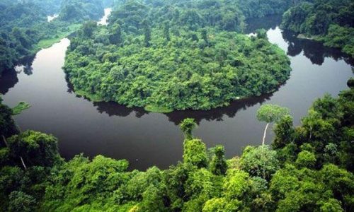 Governo de MT e O.N.E. Amazon firmam convênio de US$ 100 milhões para preservação da Amazônia