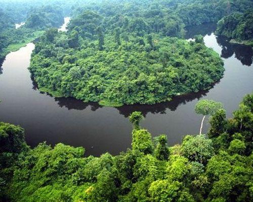 Governo de MT e O.N.E. Amazon firmam convênio de US$ 100 milhões para preservação da Amazônia